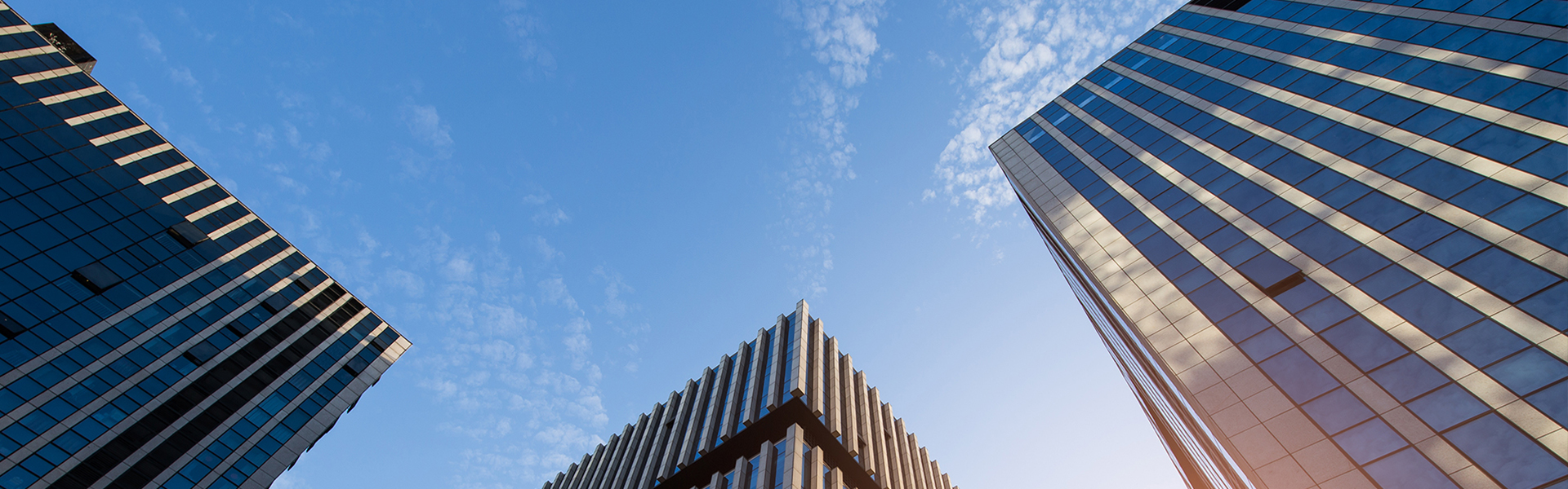 无套内谢少妇毛片A片樱花