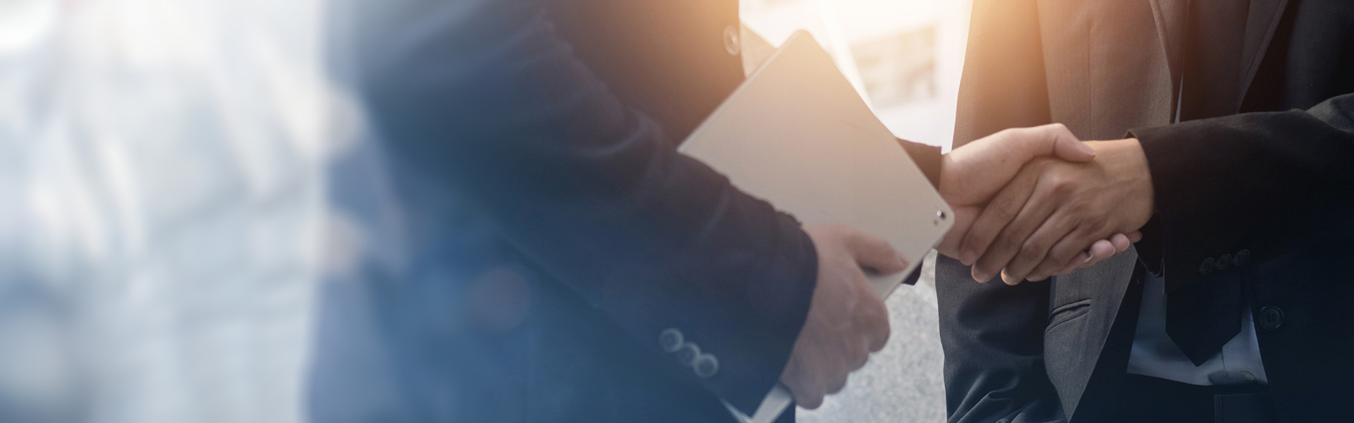 无套内谢少妇毛片A片樱花